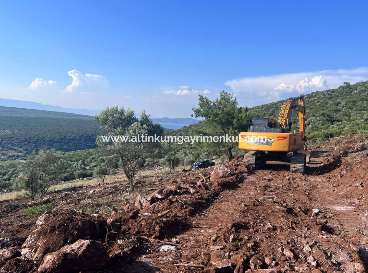 Didim Akyeniköy 5500M2 Grundstück Zum Verkauf