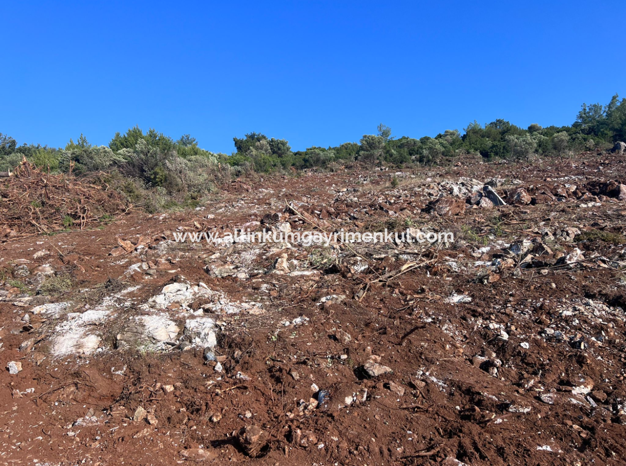 Didim Akyeniköy 5500M2 Grundstück Zum Verkauf