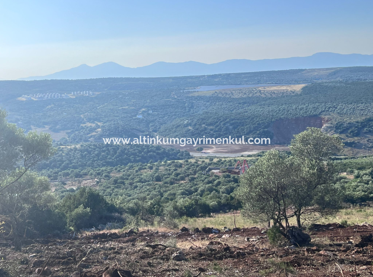Didim Akyeniköy 5500M2 Grundstück Zum Verkauf