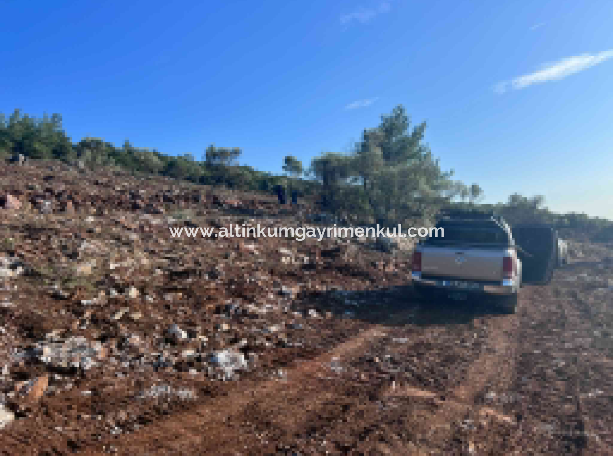 Didim Akyeniköy 5500M2 Grundstück Zum Verkauf