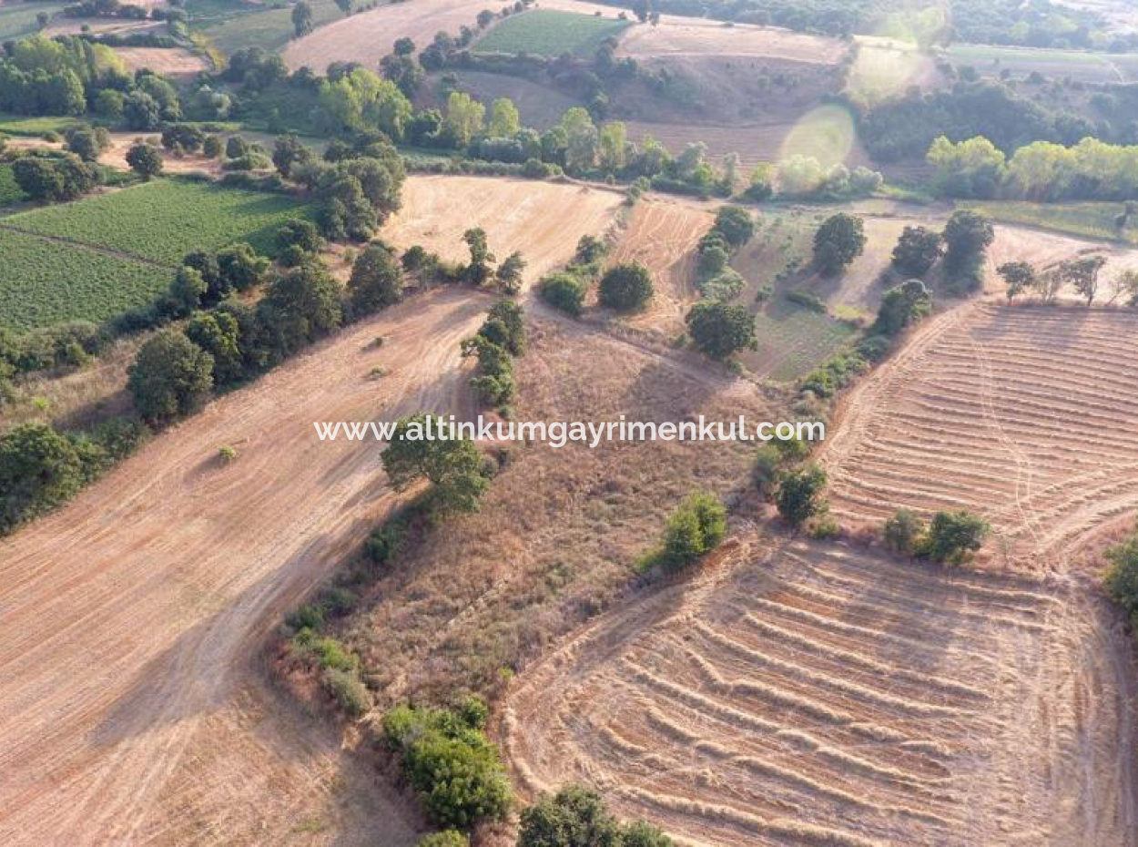 4500M2 Feld Zum Verkauf In Canakkale Biga Sinekci Bucht