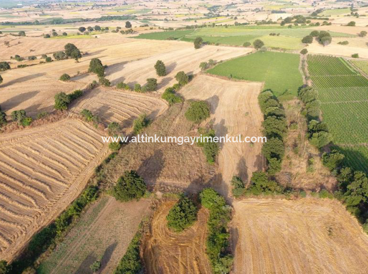 4500M2 Feld Zum Verkauf In Canakkale Biga Sinekci Dorf