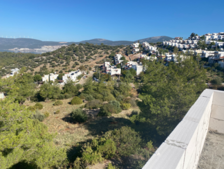 Meerblick Land Zum Verkauf In Didim Akbukte