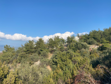 Meerblick Land Zum Verkauf In Didim Akbukte