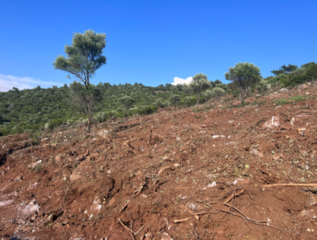 Didim Akyeniköy 5500M2 Grundstück Zum Verkauf