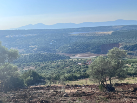 Didim Akyeniköy 5500M2 Grundstück Zum Verkauf