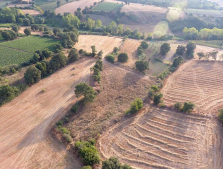 4500M2 Feld Zum Verkauf In Canakkale Biga Sinekci Bucht