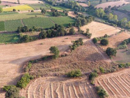 4500M2 Feld Zum Verkauf In Canakkale Biga Sinekci Bucht