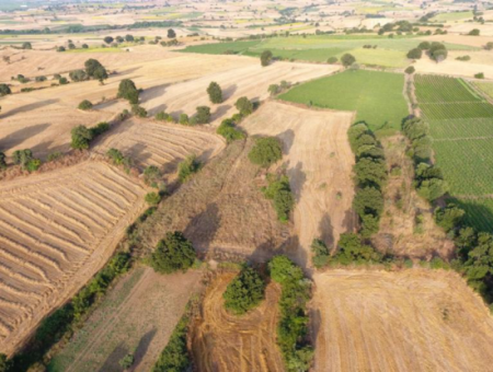 4500M2 Feld Zum Verkauf In Canakkale Biga Sinekci Dorf