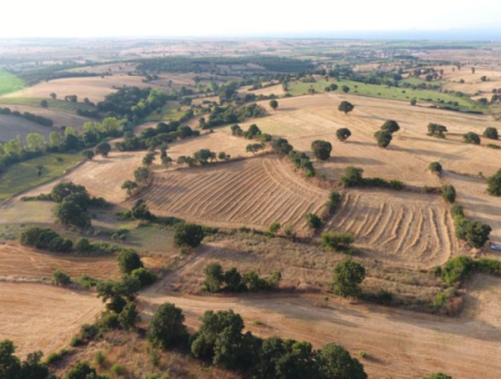 4500M2 Feld Zum Verkauf In Canakkale Biga Sinekci Dorf