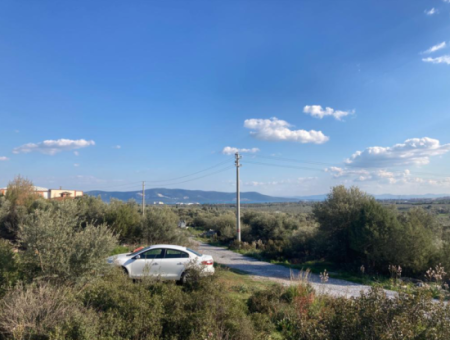 Didim Fevzipasa Villa Grundstück Mit Meerblick Zu Verkaufen