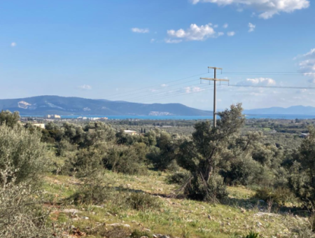 Didim Fevzipasa Villa Grundstück Mit Meerblick Zu Verkaufen