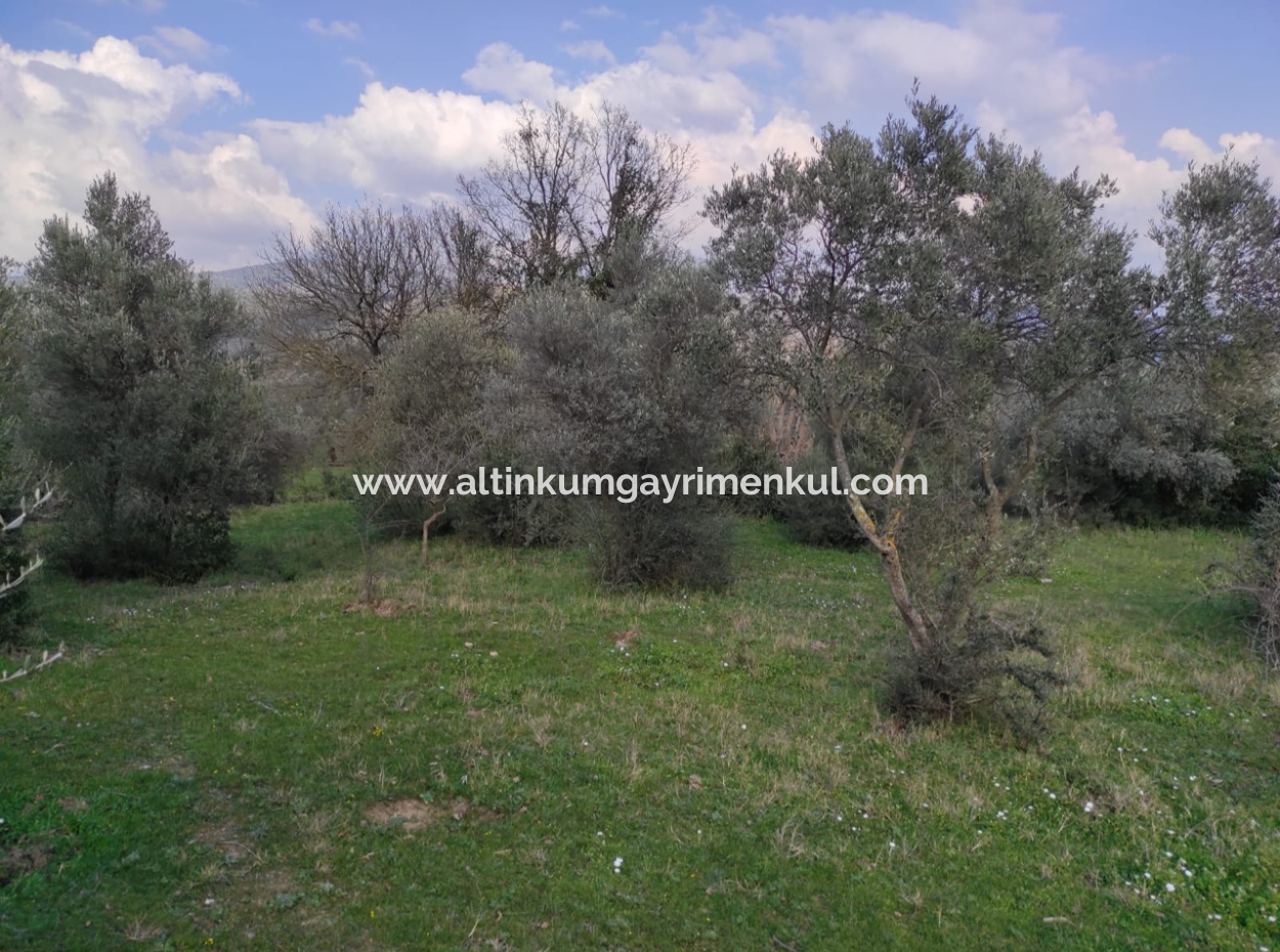 Milas Danisment 3150M2 Land For Sale