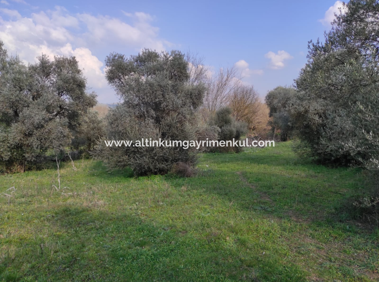 Milas Danisment 3150M2 Land For Sale