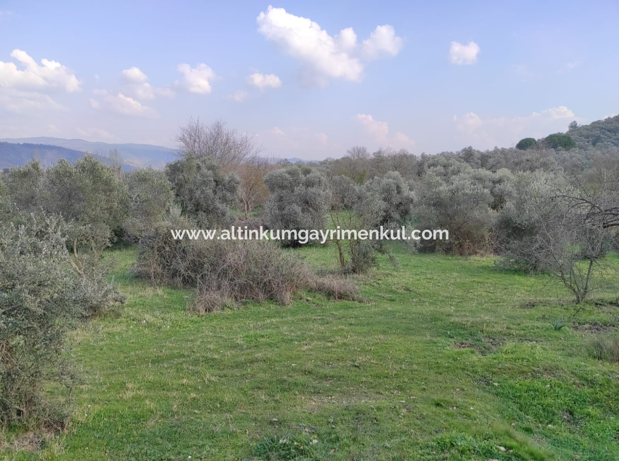 Milas Danisment 3150M2 Land For Sale
