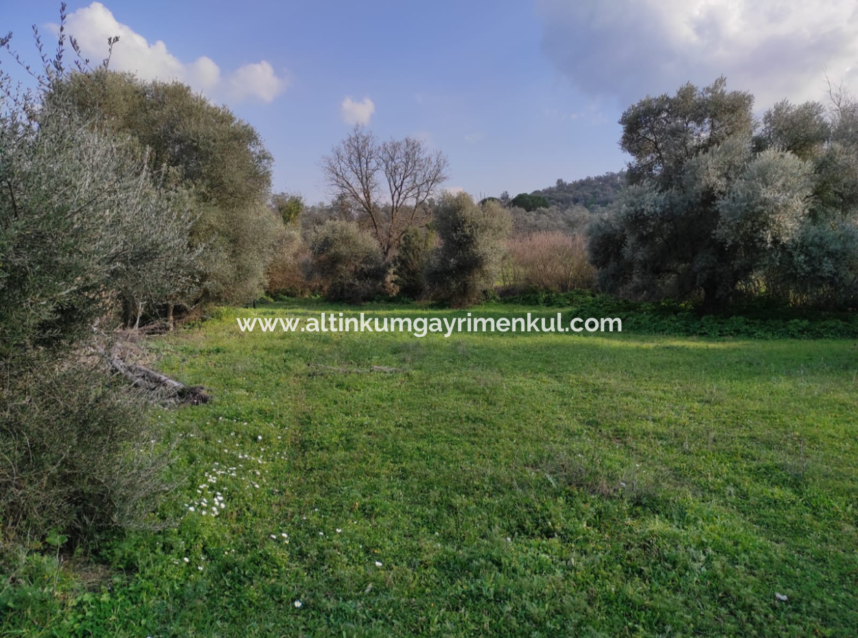 Milas Danisment 3150M2 Land For Sale