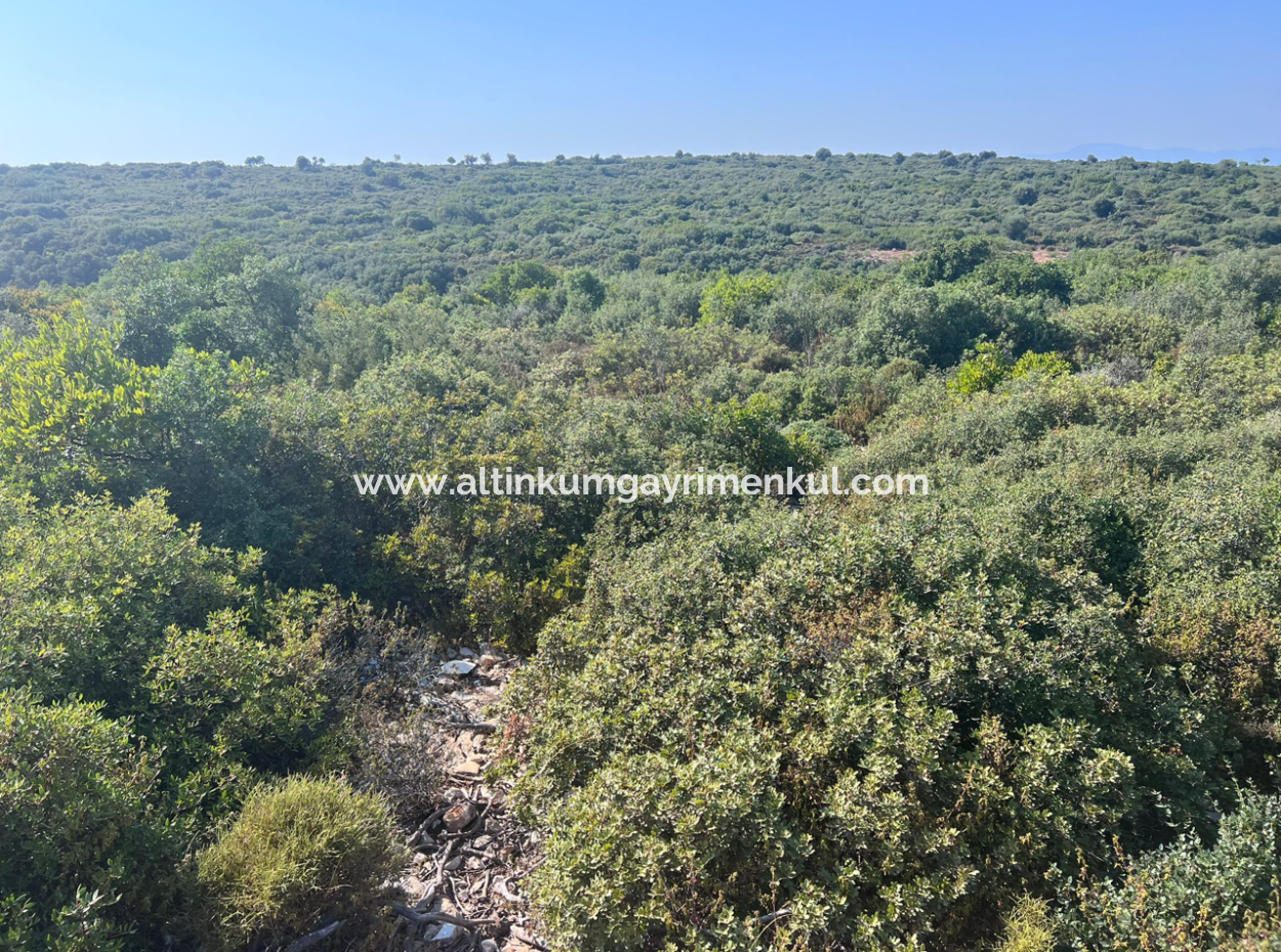 Land With 300M2 Zoning For Sale In Didim