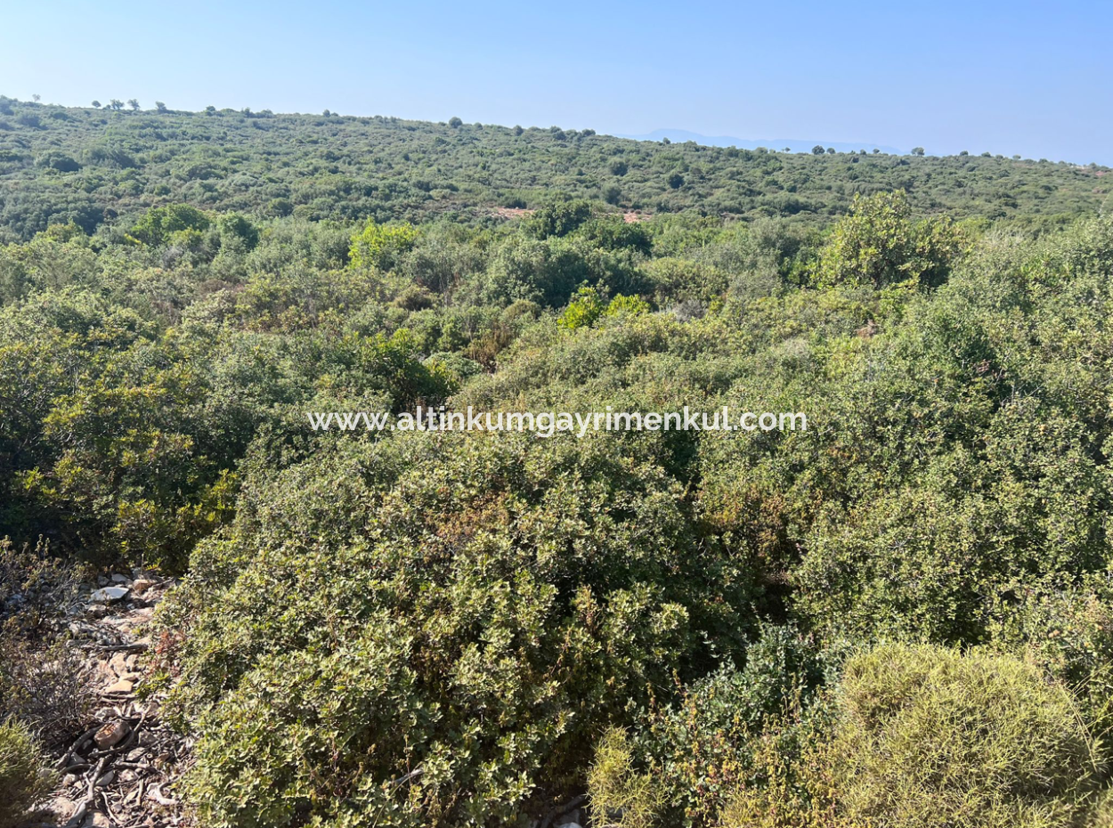 Land With 300M2 Zoning For Sale In Didim