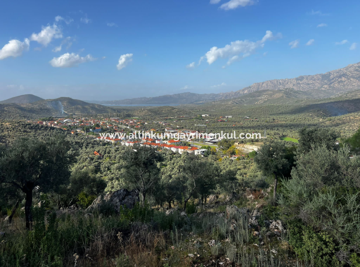 Olive Grove With Lake View For Sale In Milas Bafa
