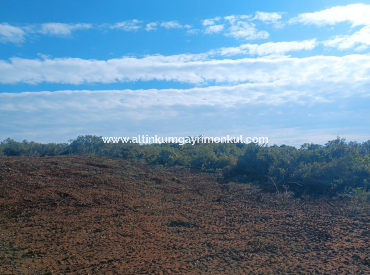 Villa Zoned Land For Sale In Didim Bozseki