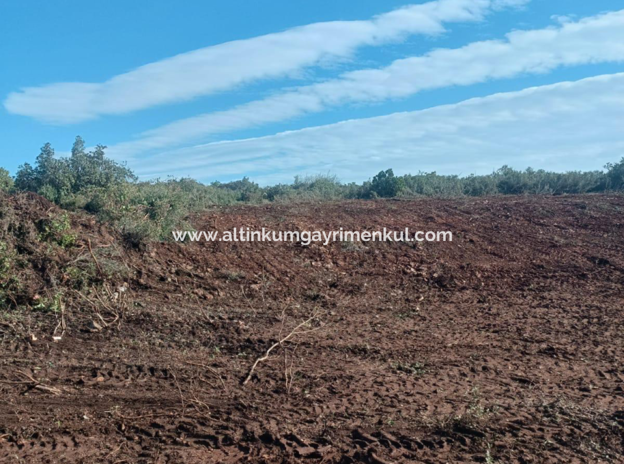 Villa Zoned Land For Sale In Didim Bozseki