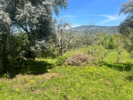 Milas Eğridere Satilik Arazi