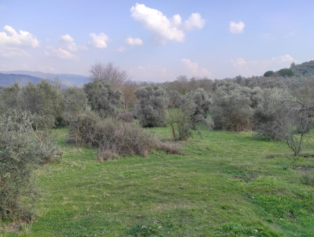 Milas Danisment 3150M2 Land For Sale