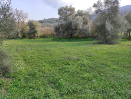 Milas Danisment 3150M2 Land For Sale