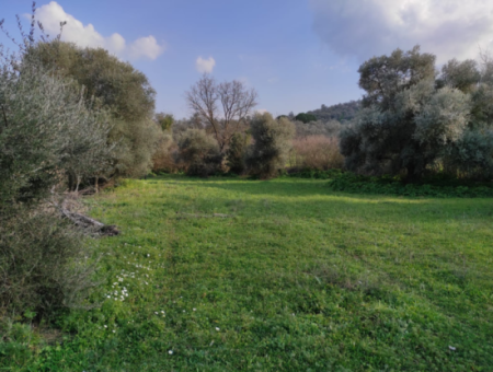 Milas Danisment 3150M2 Land For Sale