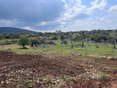 400M2 Plot For Sale In Didim