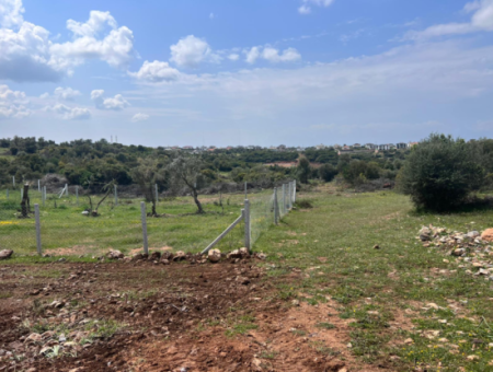 400M2 Plot For Sale In Didim