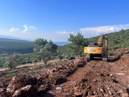 Didim Akyeniköy 5500M2 Land For Sale