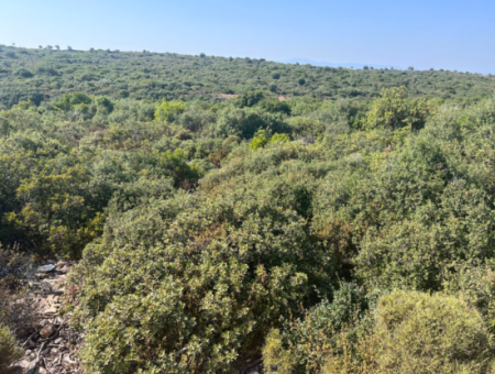 Land With 300M2 Zoning For Sale In Didim