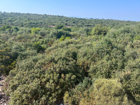 Land With 300M2 Zoning For Sale In Didim