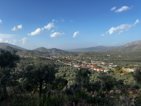 Olive Grove With Lake View For Sale In Milas Bafa