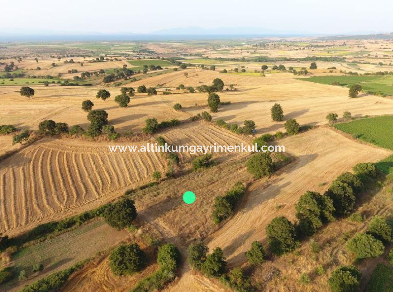 Çanakkale Biga Sinekci Koyunda Satilik 4500M2 Tarla