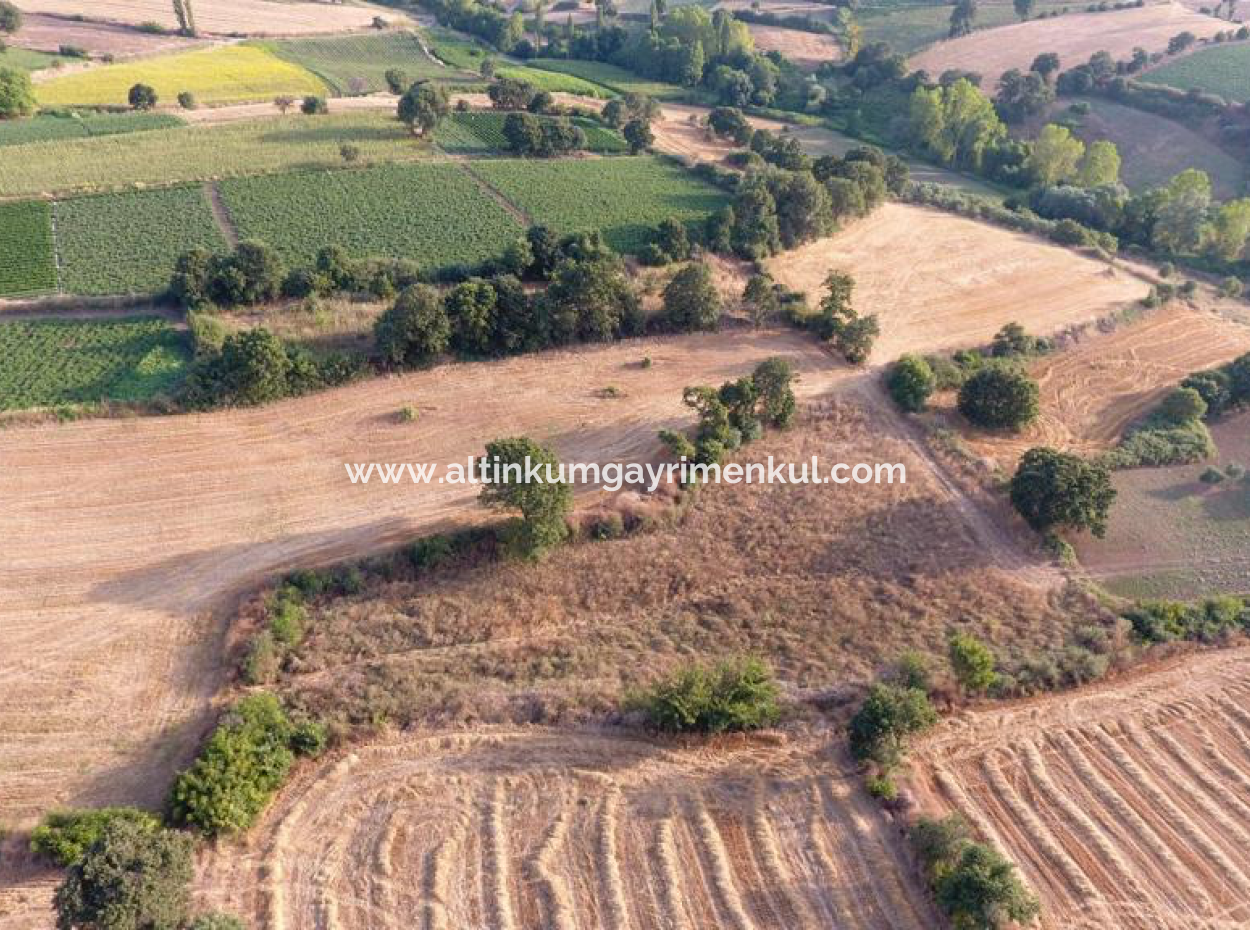 Çanakkale Biga Sinekci Köyünde Satilik 4500M2 Tarla