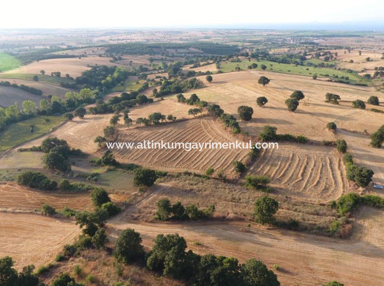 Çanakkale Biga Sinekci Köyünde Satilik 4500M2 Tarla