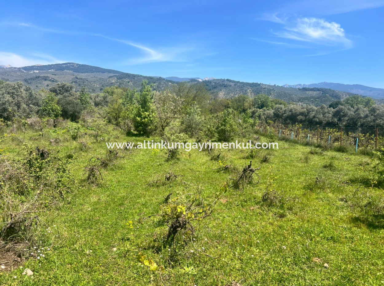 Milas Eğridere Satilik Arazi