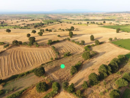 Çanakkale Biga Sinekci Koyunda Satilik 4500M2 Tarla